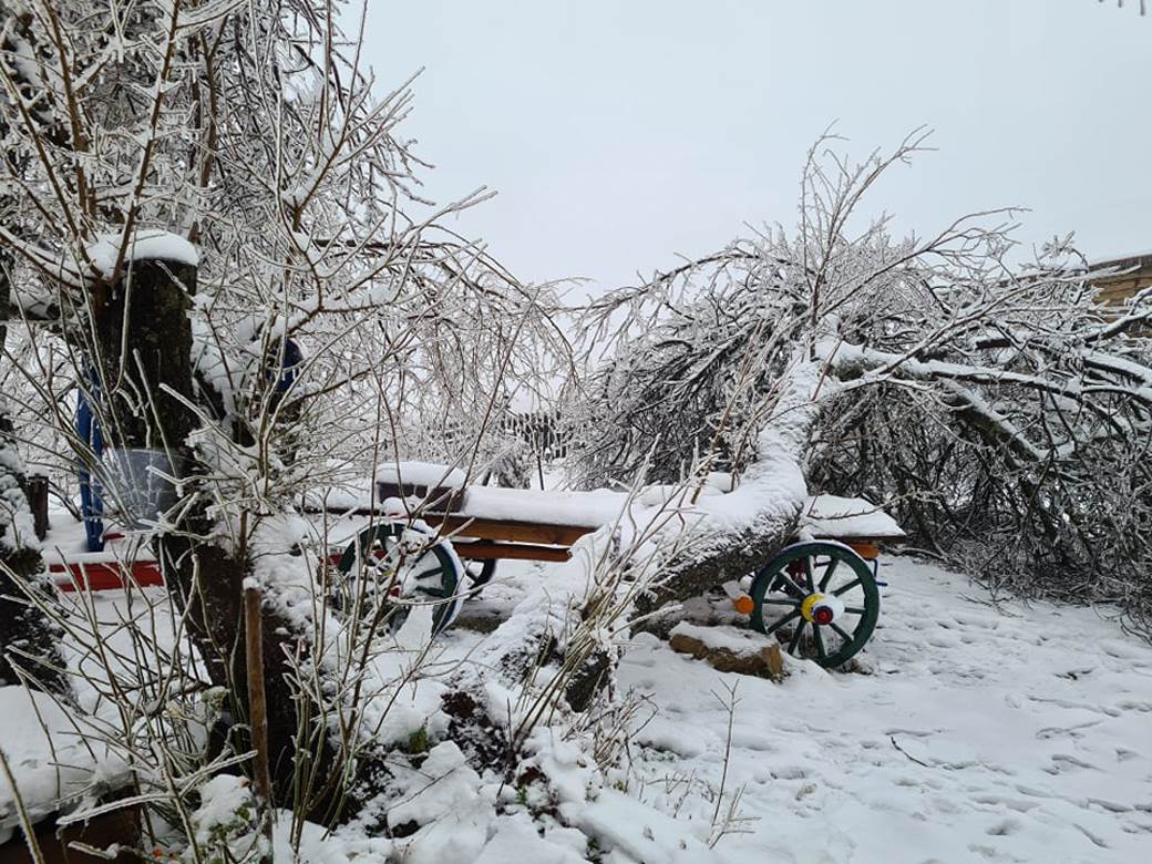 selo bara bez struje padaju stabla pomoc leskovac video 