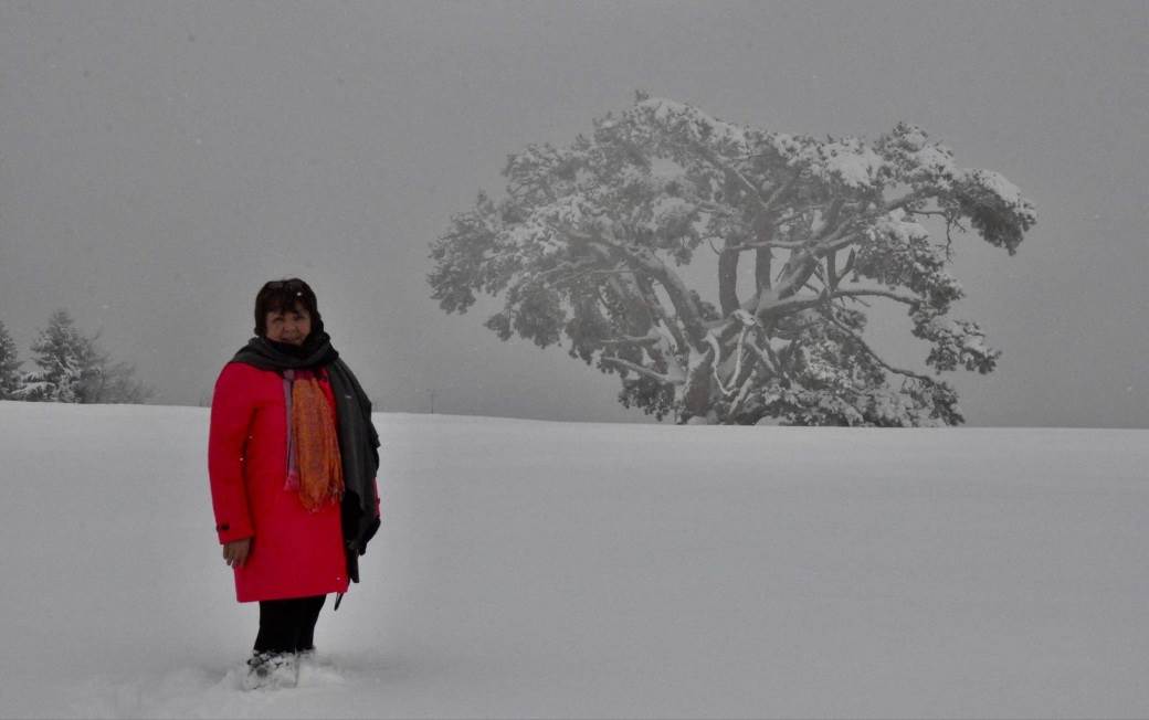 sveti bor kamena gora prijepolj srusio se pod snegom