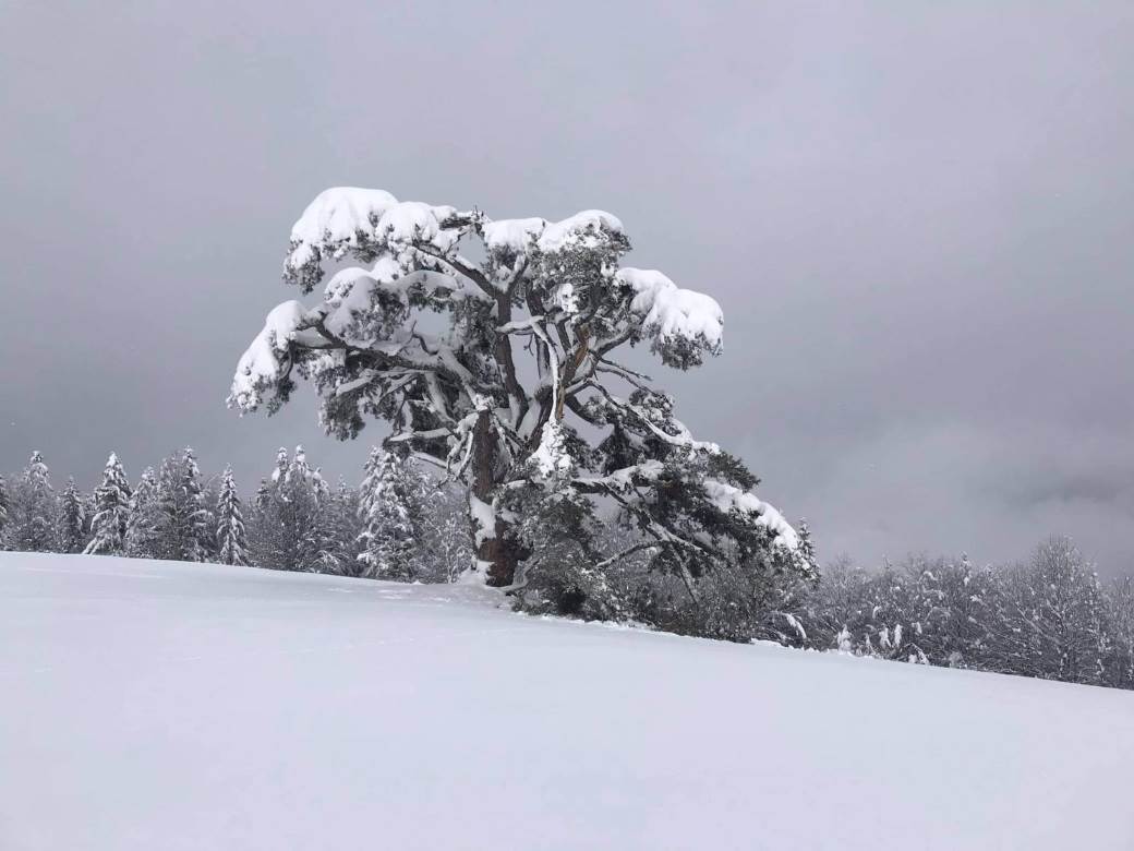 sveti bor kamena gora prijepolj srusio se pod snegom