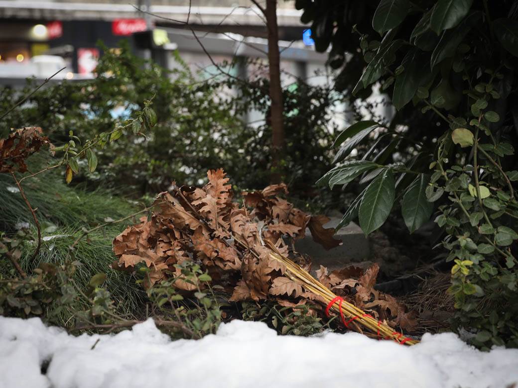 badnjak gde ga ostaviti posle bozica beograd baceni po ulici