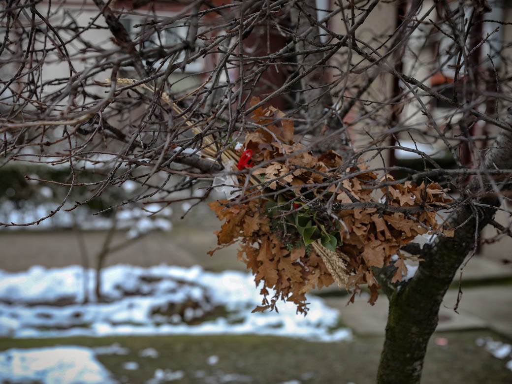 badnjak gde ga ostaviti posle bozica beograd baceni po ulici