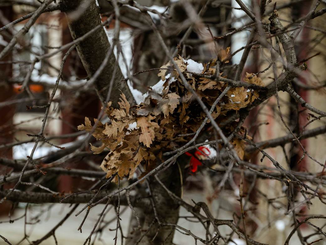 badnjak gde ga ostaviti posle bozica beograd baceni po ulici