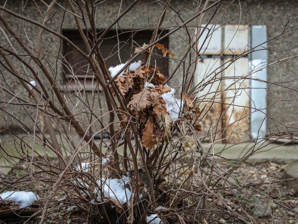 badnjak gde ga ostaviti posle bozica beograd baceni po ulici