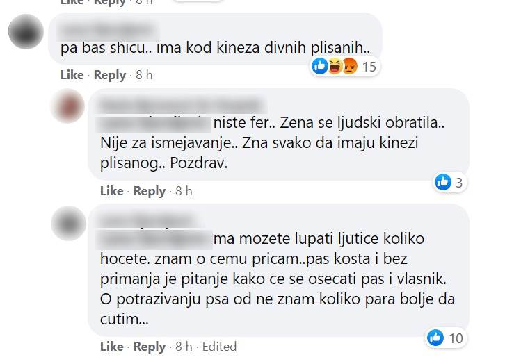 zena na fejsbuku hoce da udomi psa rase si cu rasprava komentari