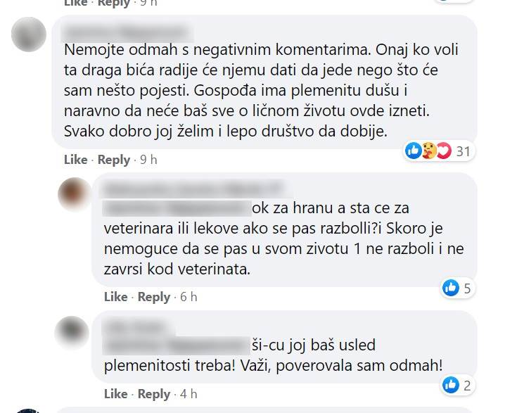 zena na fejsbuku hoce da udomi psa rase si cu rasprava komentari