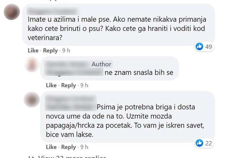 zena na fejsbuku hoce da udomi psa rase si cu rasprava komentari