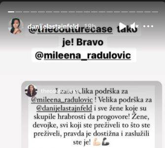 miroslav mika aleksic silovanje milena radulovic danijela stajnfeld