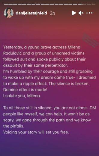 miroslav mika aleksic silovanje milena radulovic danijela stajnfeld