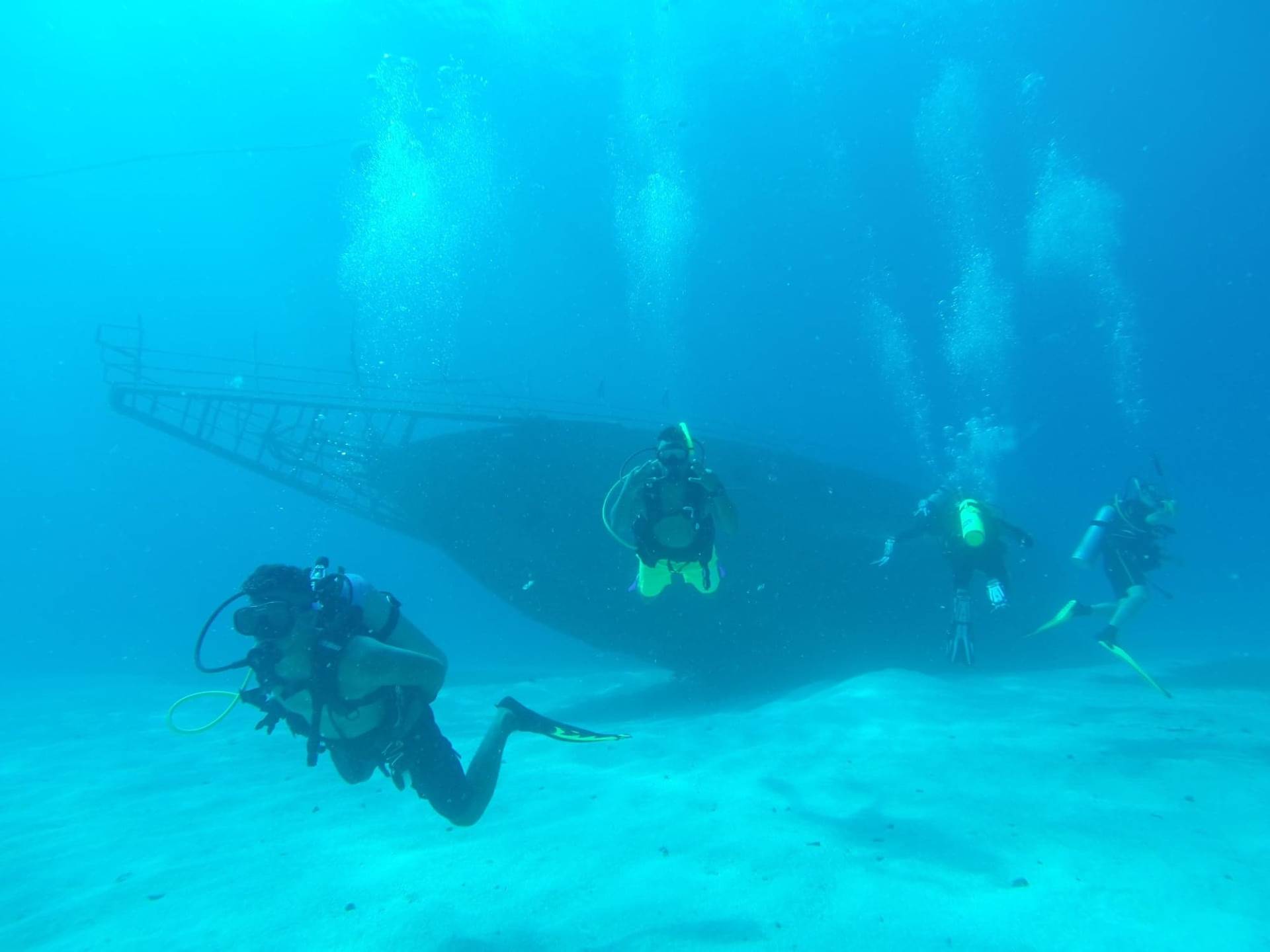 plivanje sa ajkulama ronjenje podvodni svet ajkule vladimir gvozdenovic