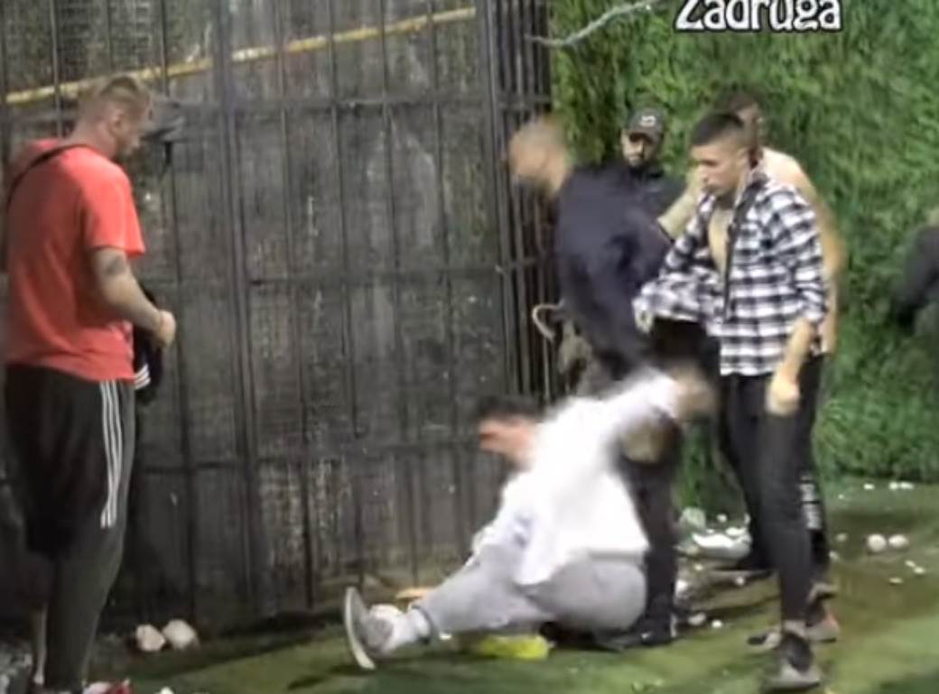 kristijan golubovic pao zadruga video