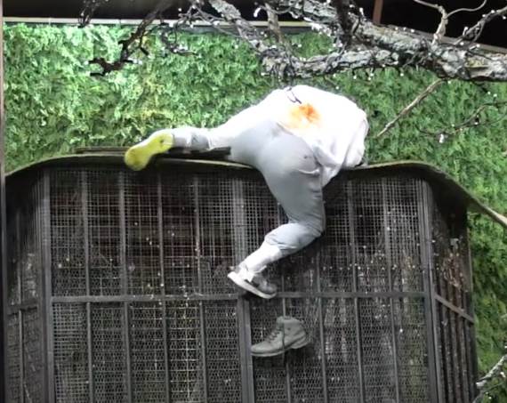 kristijan golubovic pao zadruga video