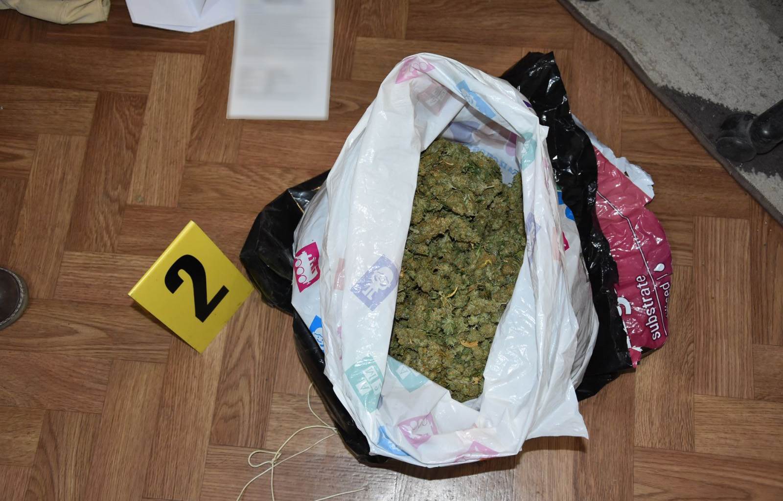 hapsenje obrenovac laboratorija marihuana 700 biljki trava ulje