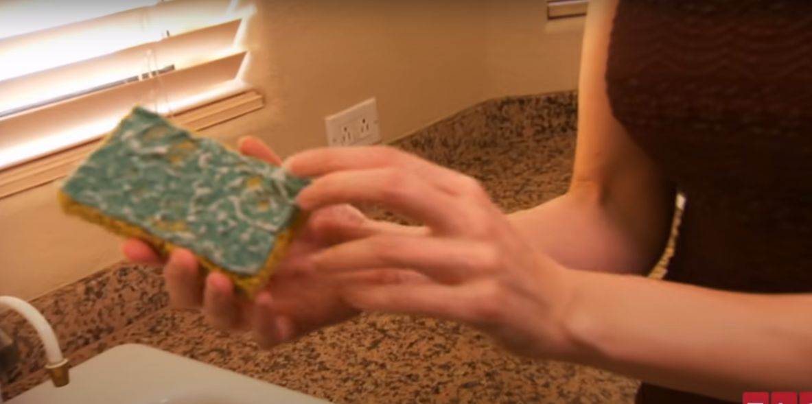 bogatasica jede hranu za macke stednja