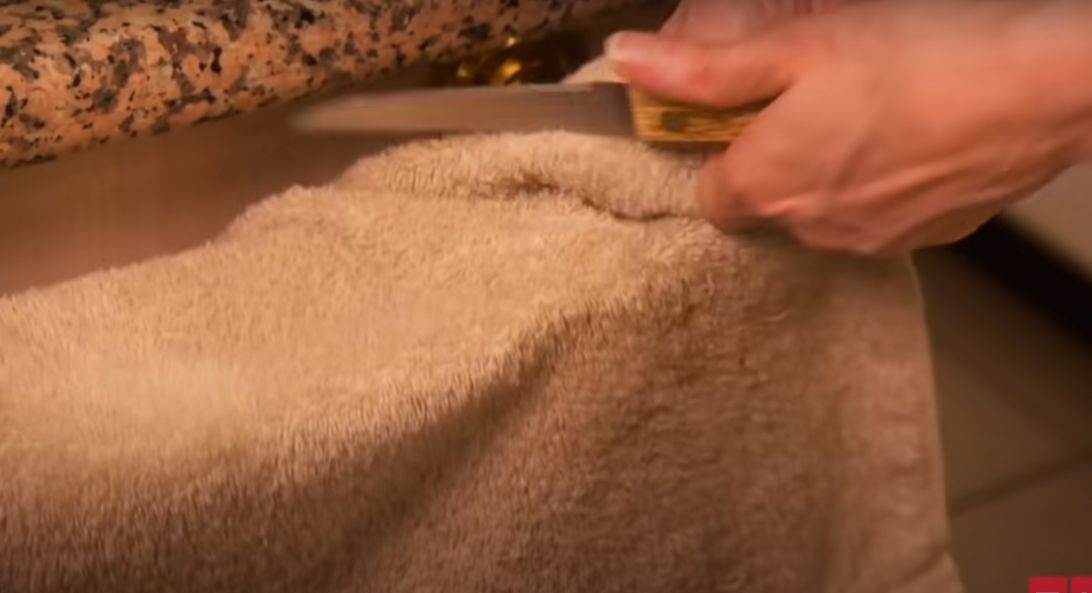 bogatasica jede hranu za macke stednja