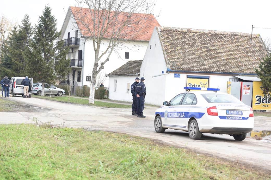 hapsenje starcevo ubistvo navijaca partizana principi timotije stojanovic dzimi