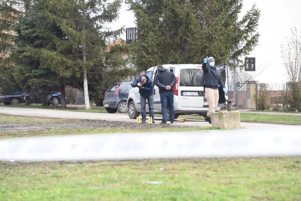 hapsenje starcevo ubistvo navijaca partizana principi timotije stojanovic dzimi