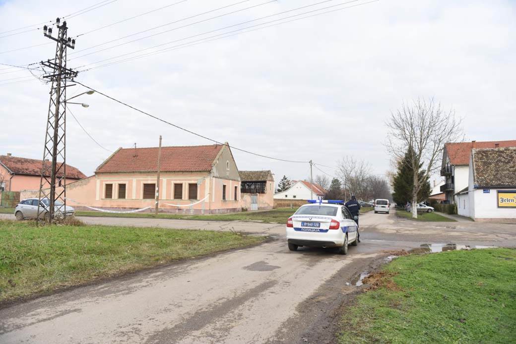 hapsenje starcevo ubistvo navijaca partizana principi timotije stojanovic dzimi