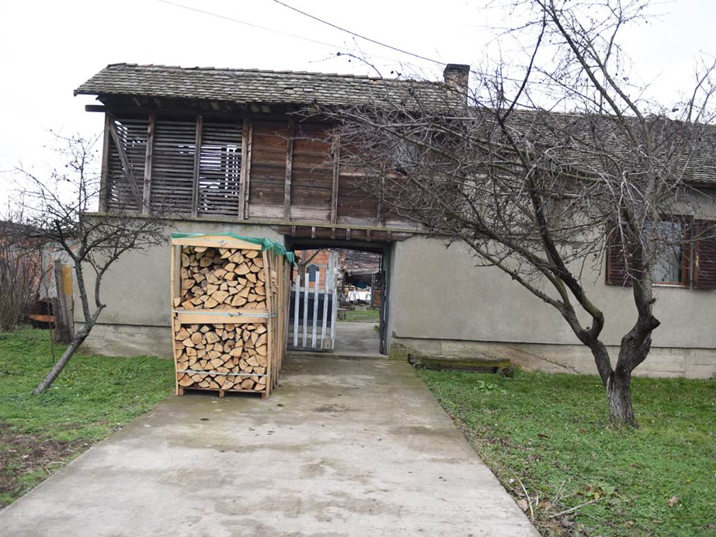 hapsenje starcevo ubistvo navijaca partizana principi timotije stojanovic dzimi