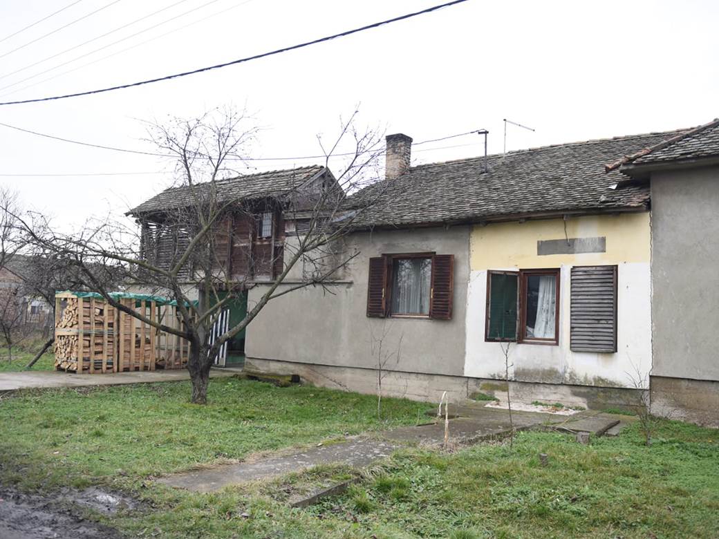 hapsenje starcevo ubistvo navijaca partizana principi timotije stojanovic dzimi