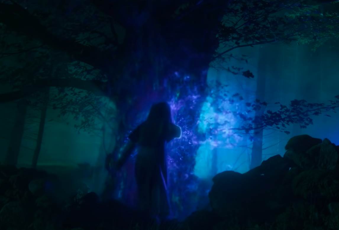 fate the winx saga serija netflix