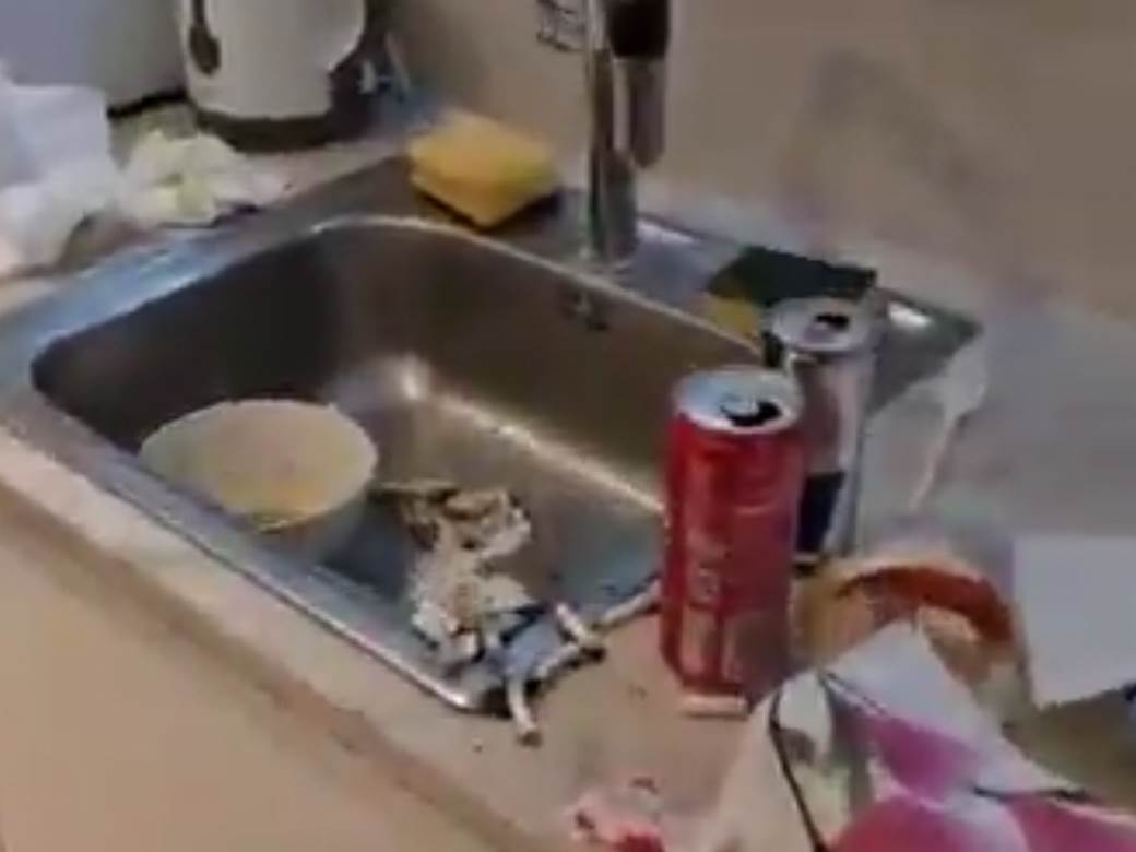 beograd stan iznajmljivanje haos nered video