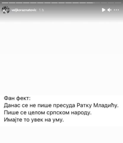 jelena karleusa ratko mladic presuda