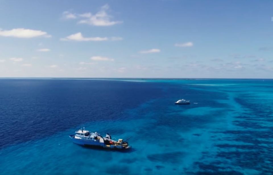 velika plava rupa belize dahab