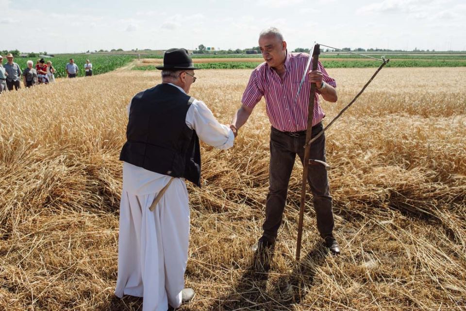 nacionalni praznik bunjevaca subotica