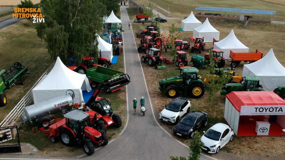 sremska mitrovica branislav nedimovic intervju