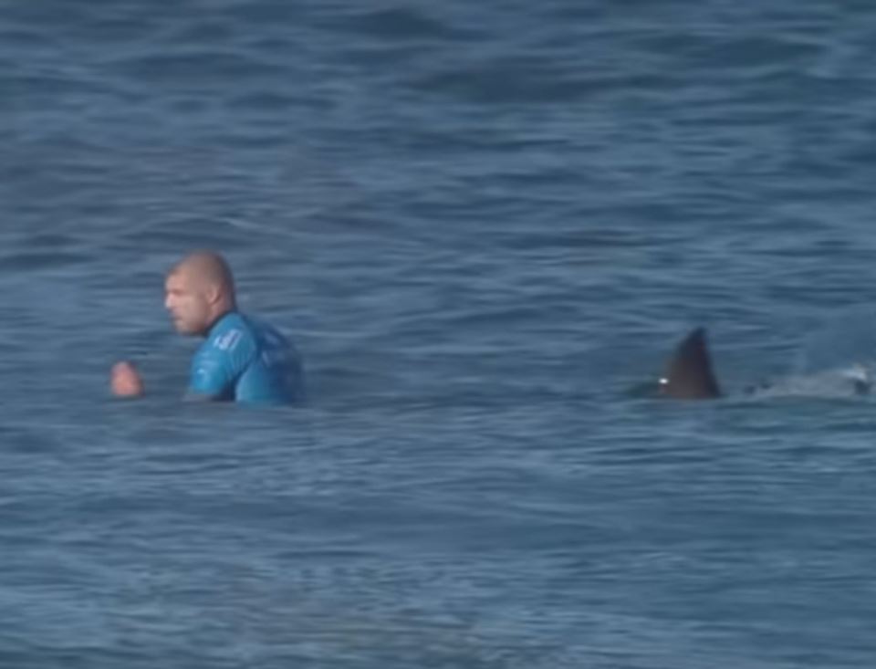 Ajkula napala surfera Mika Feninga