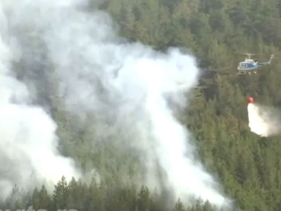 požar u Murtenici (2)