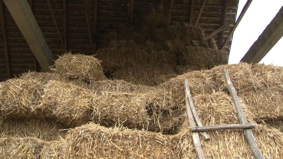 Todorovići (1).png