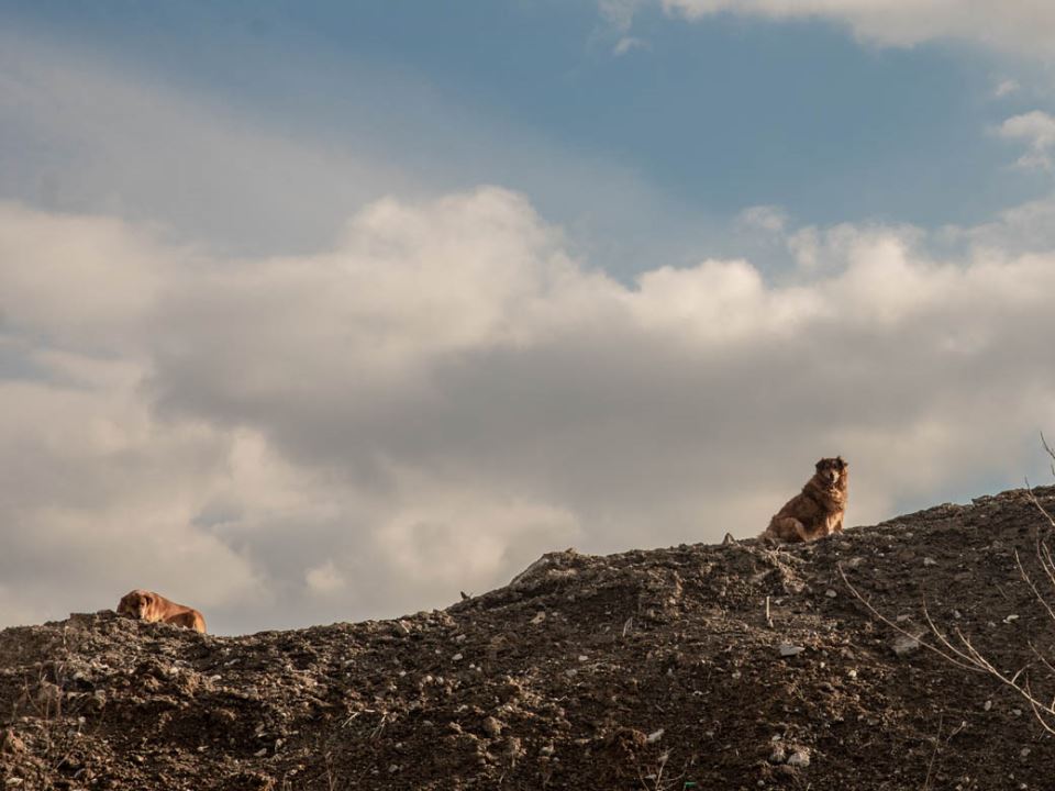 Beskućnici iz Beograda spavaju u kanalizaciji