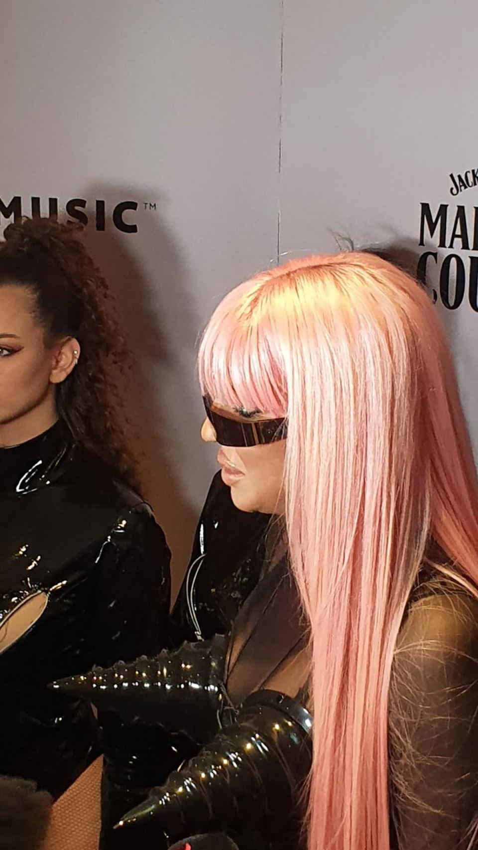 Jelena Karleuša (1).jpg