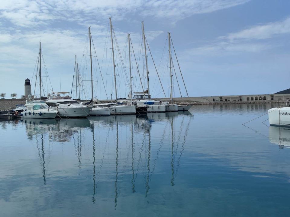 xiaomi 12 lustica.jpg