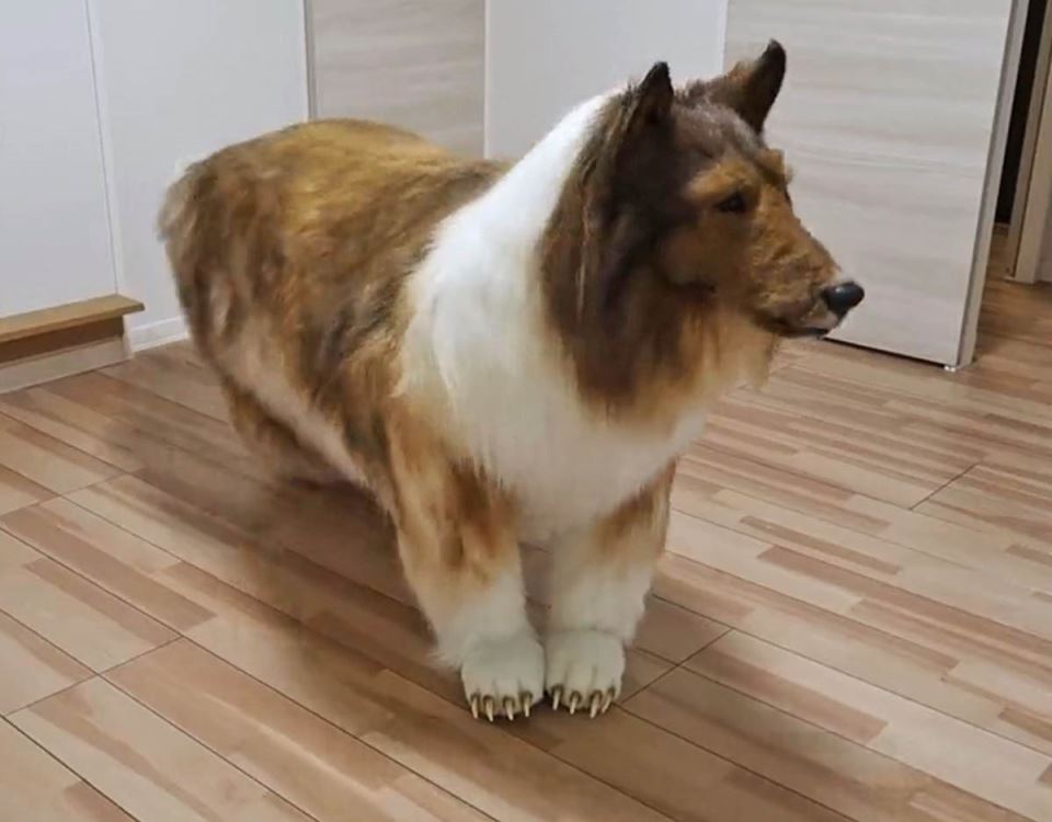 Vestacko kuce (5).jpg