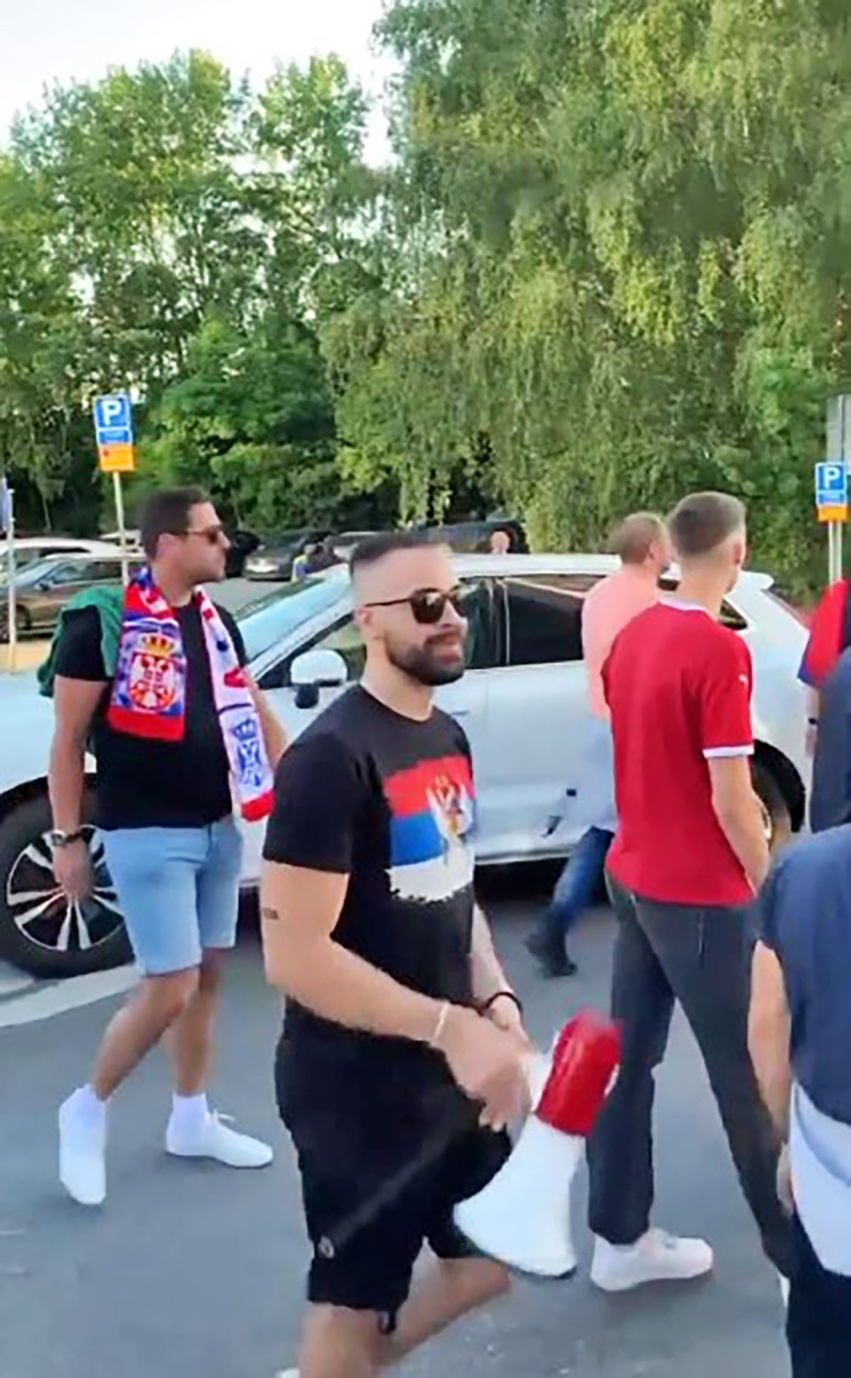 Srbija Svedska navijaci (5).jpg