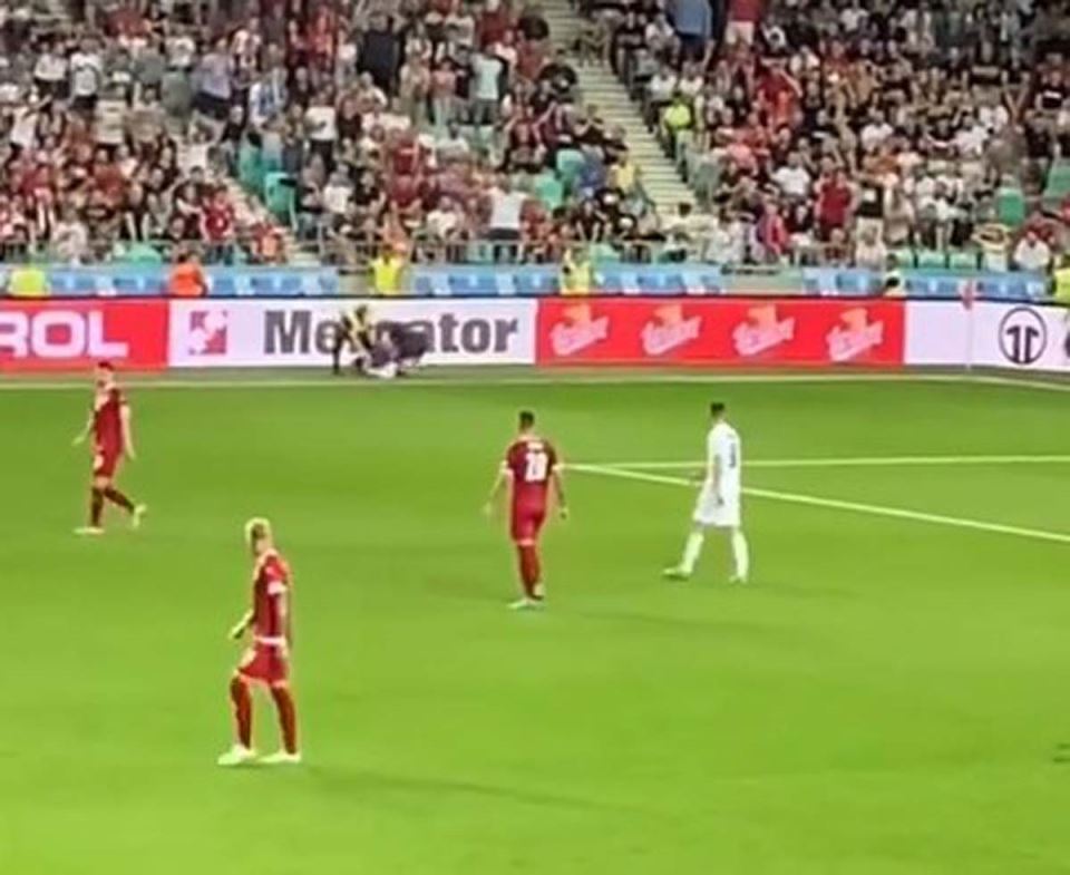 Istrčao na teren  (1).jpg