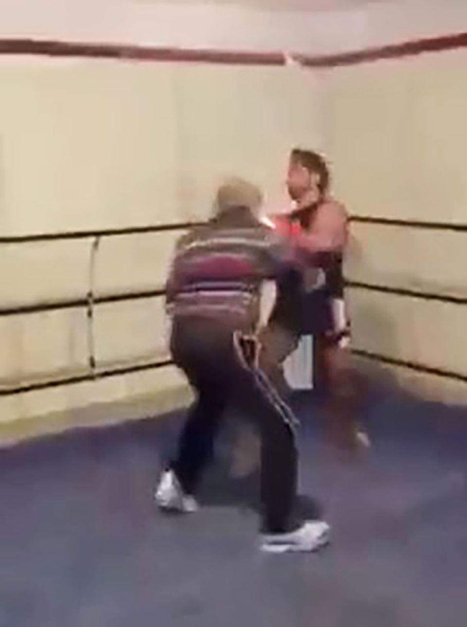 Matori bokser (7).jpg