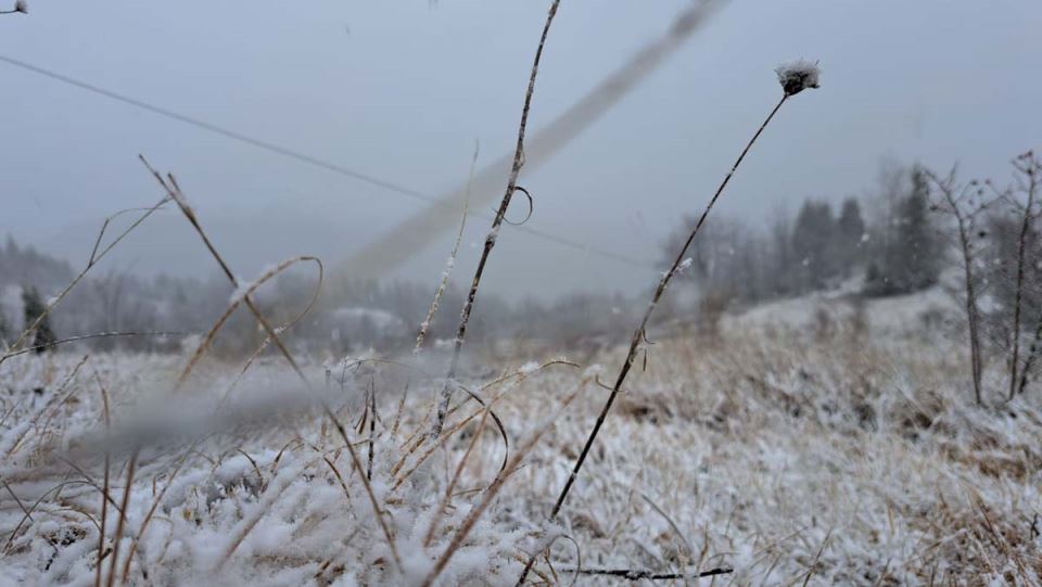 Planine sneg  (1).jpg