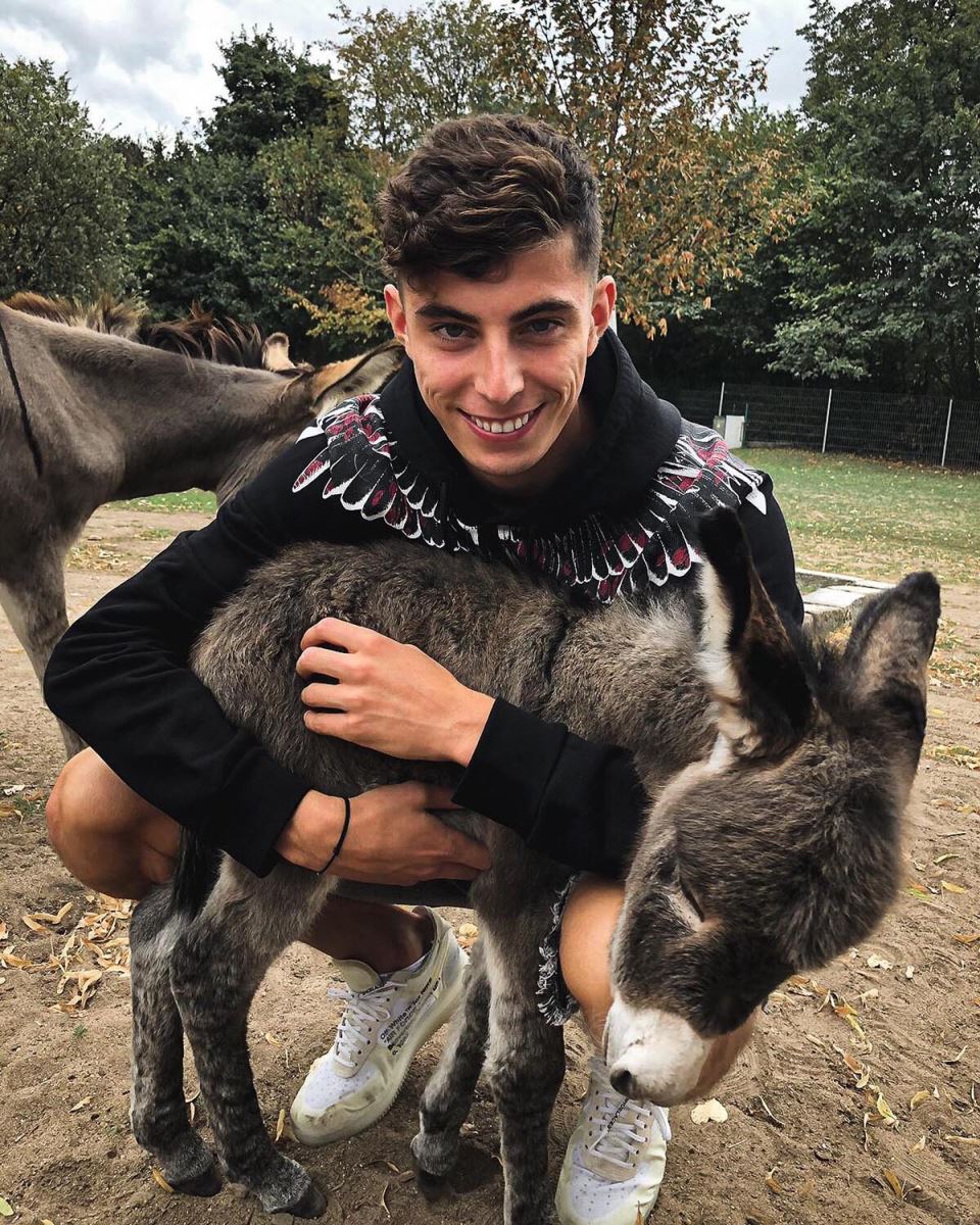 Kai Havertz  (2).jpg