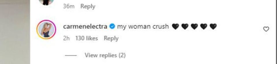 Karmen Elektra komentarisala sliku Jelene Karleuše