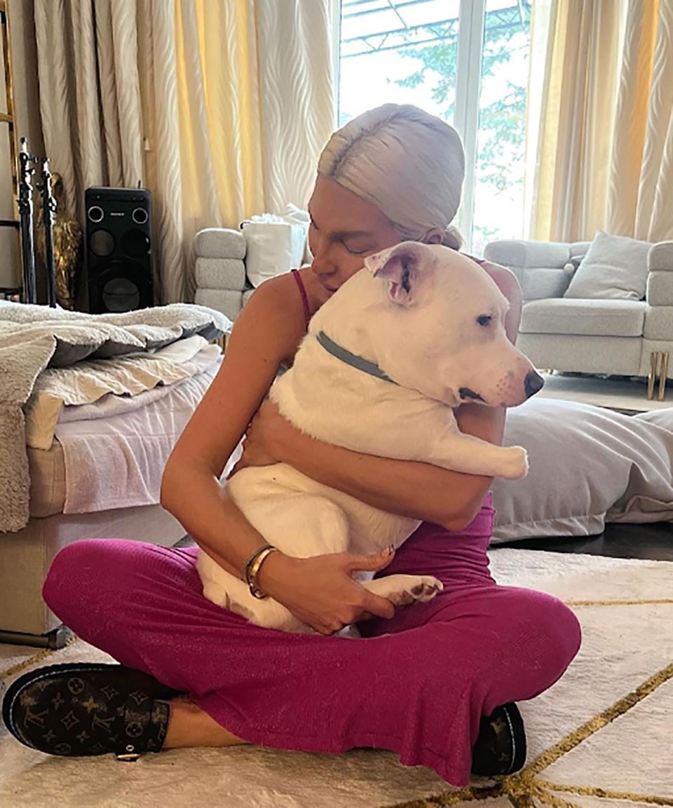 Jelena Karleuša platila operaciju unakaženom psu