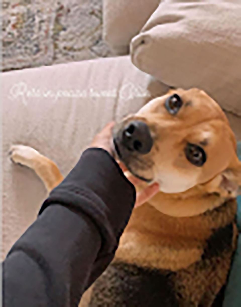 Endži Harmon (2).jpg