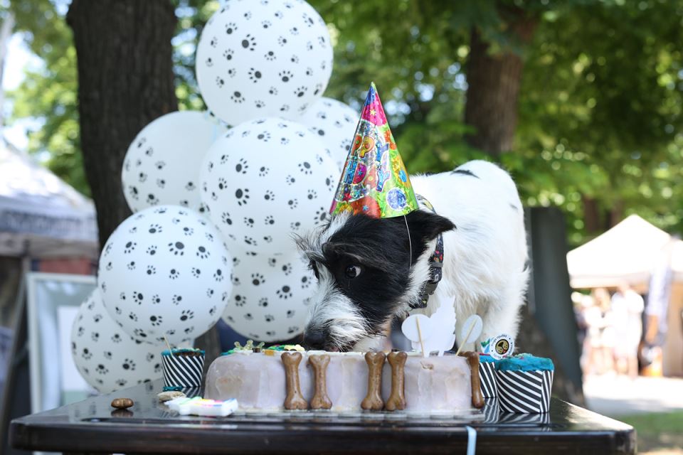 3H8A1090 (1) copy.jpg