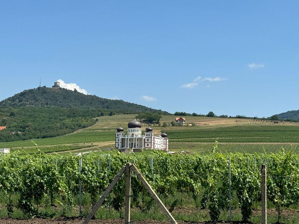 Vila Rodoljuba Draškovića (1).jpg