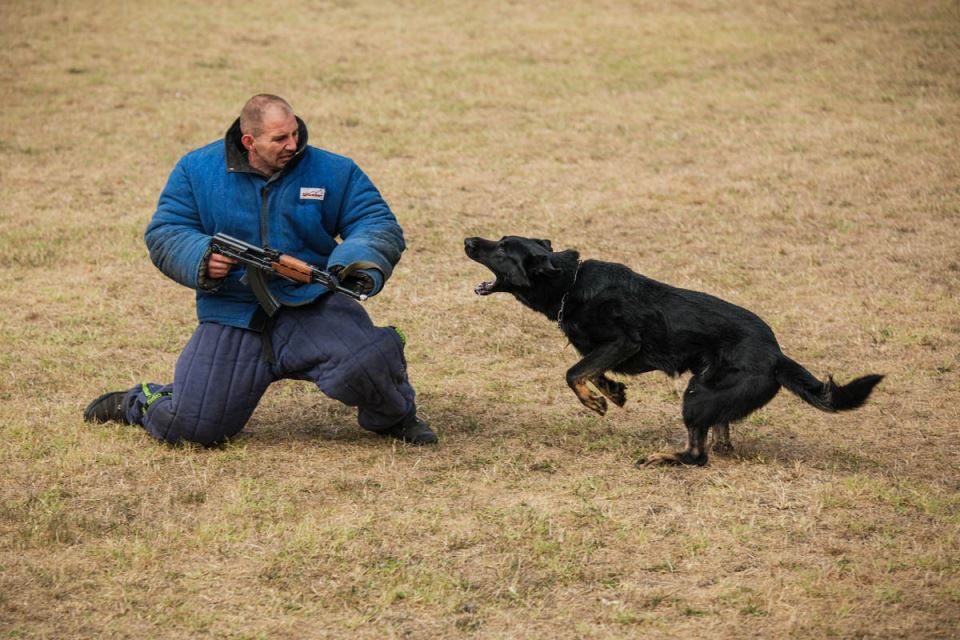 vojni_psi_vojska_srbije_stefan_stojanović-1 (1).jpg
