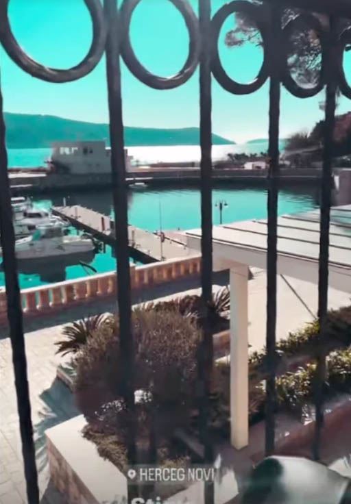 Ceca Ražnatović, Herceg Novi 2.jpg