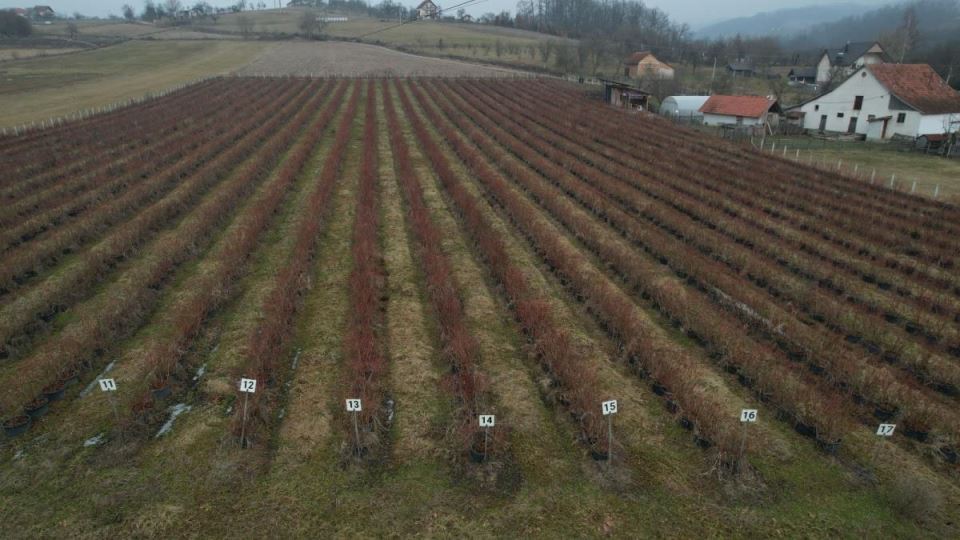 Milorad Murić  (4).jpg