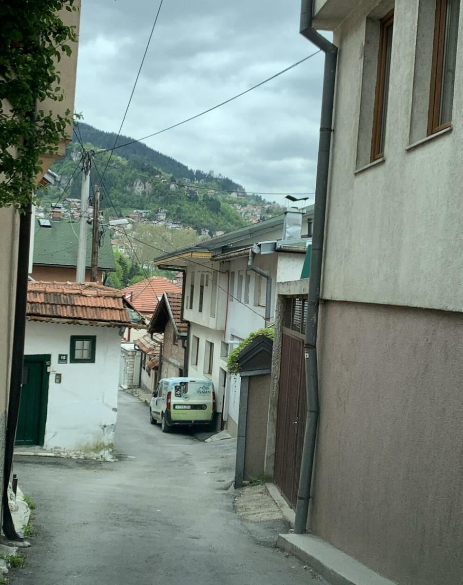 dino merlin kurir2.bmp